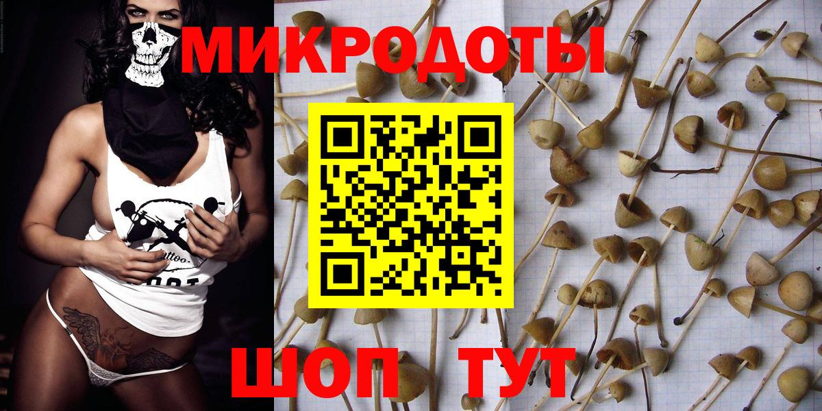 Кулебаки  Галлюциногенные грибы прущие грибы  Галлюциногенные грибы Psilocybe  Вход с VPN 