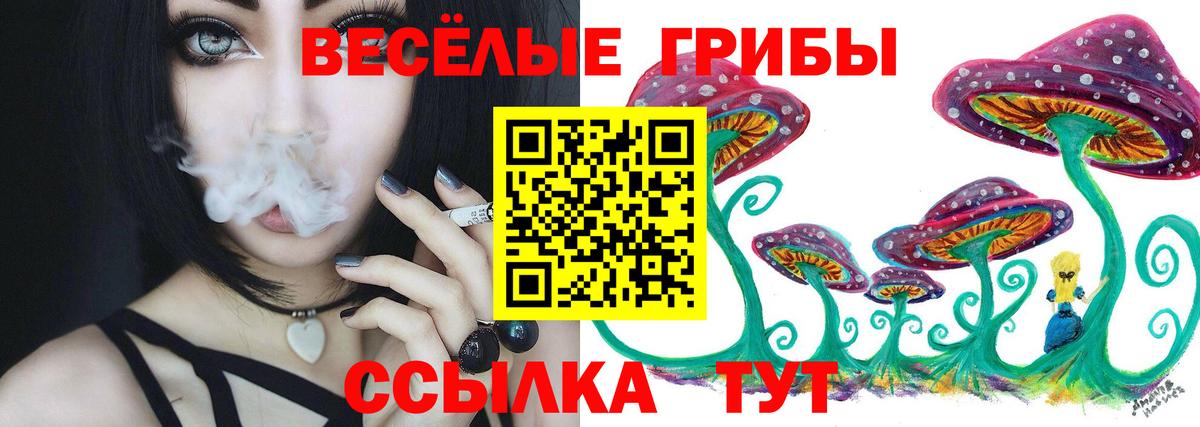 Галлюциногенные грибы прущие грибы Кулебаки